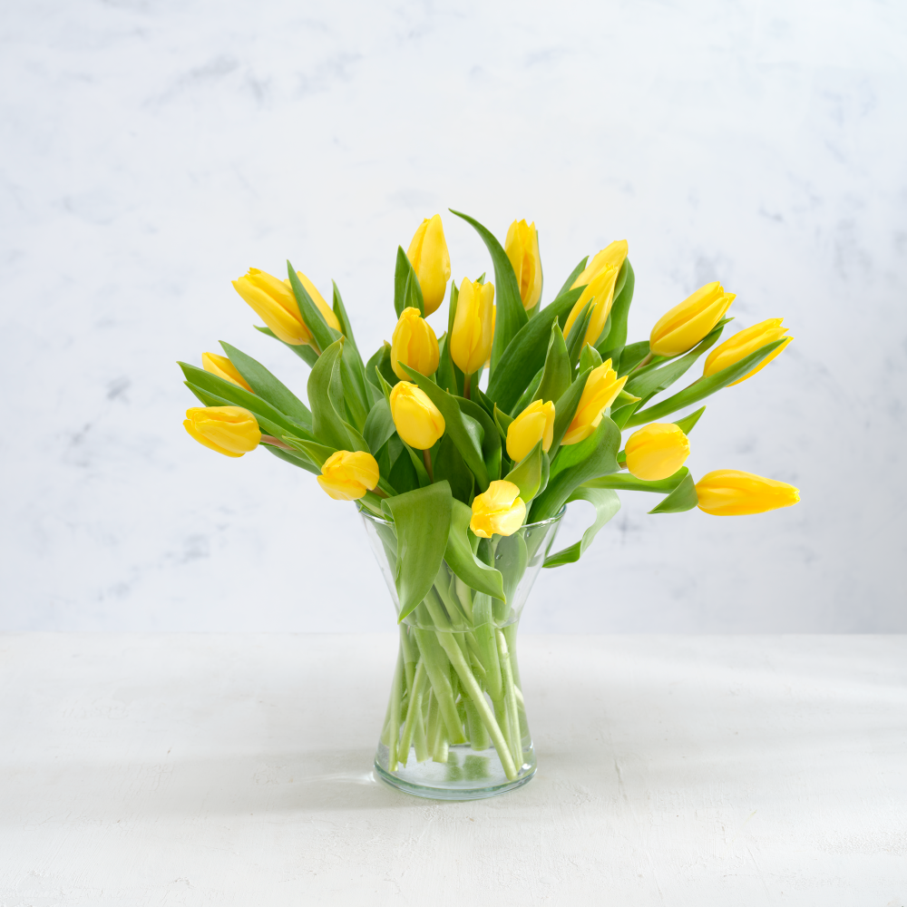 Co-op Florist Abundance of Tulips