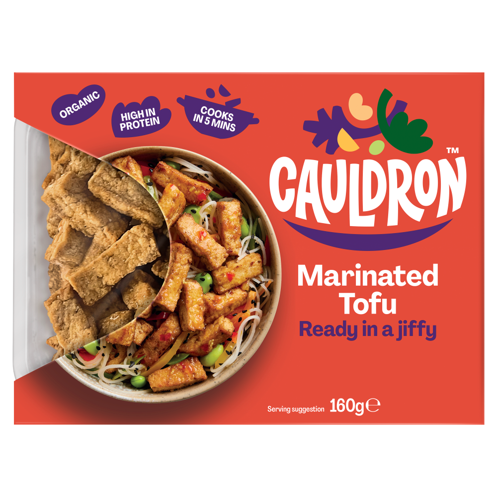 MARINATED TOFU PIECES