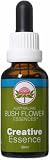 Australian Bush Flower Creative Essence 30ml