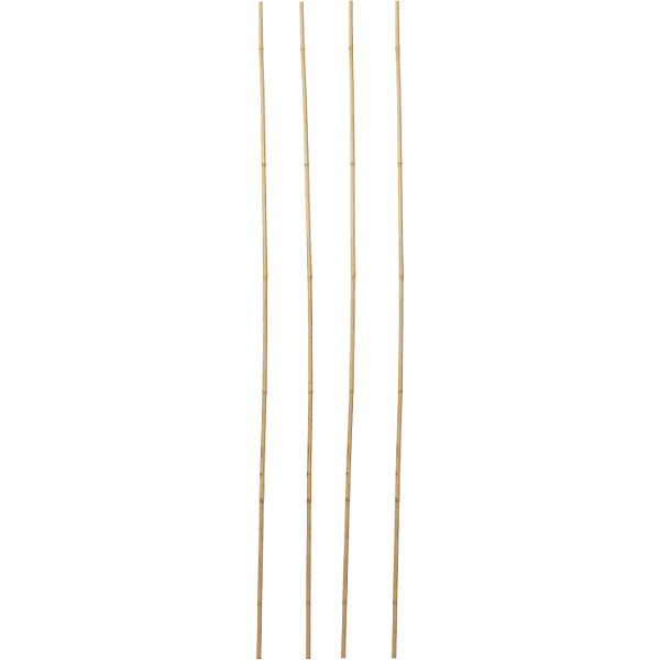 ClaPRO 4840036 Garden Canes 18/22lbs 5ft Box of 250