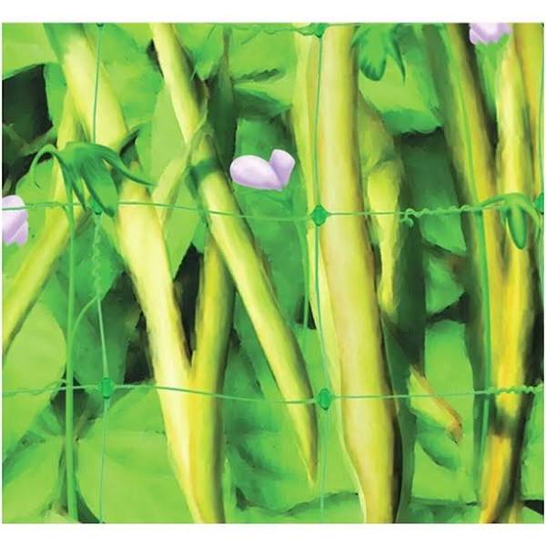 Pea & Bean Net 4m x 2m