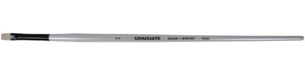 Daler Rowney - Graduate Brush
