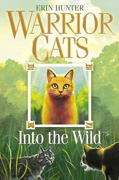 Into the Wild [Book]